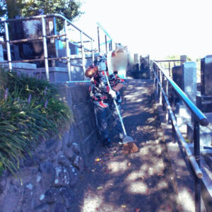 Read more about the article 己達会esseの10月のお仕事♪