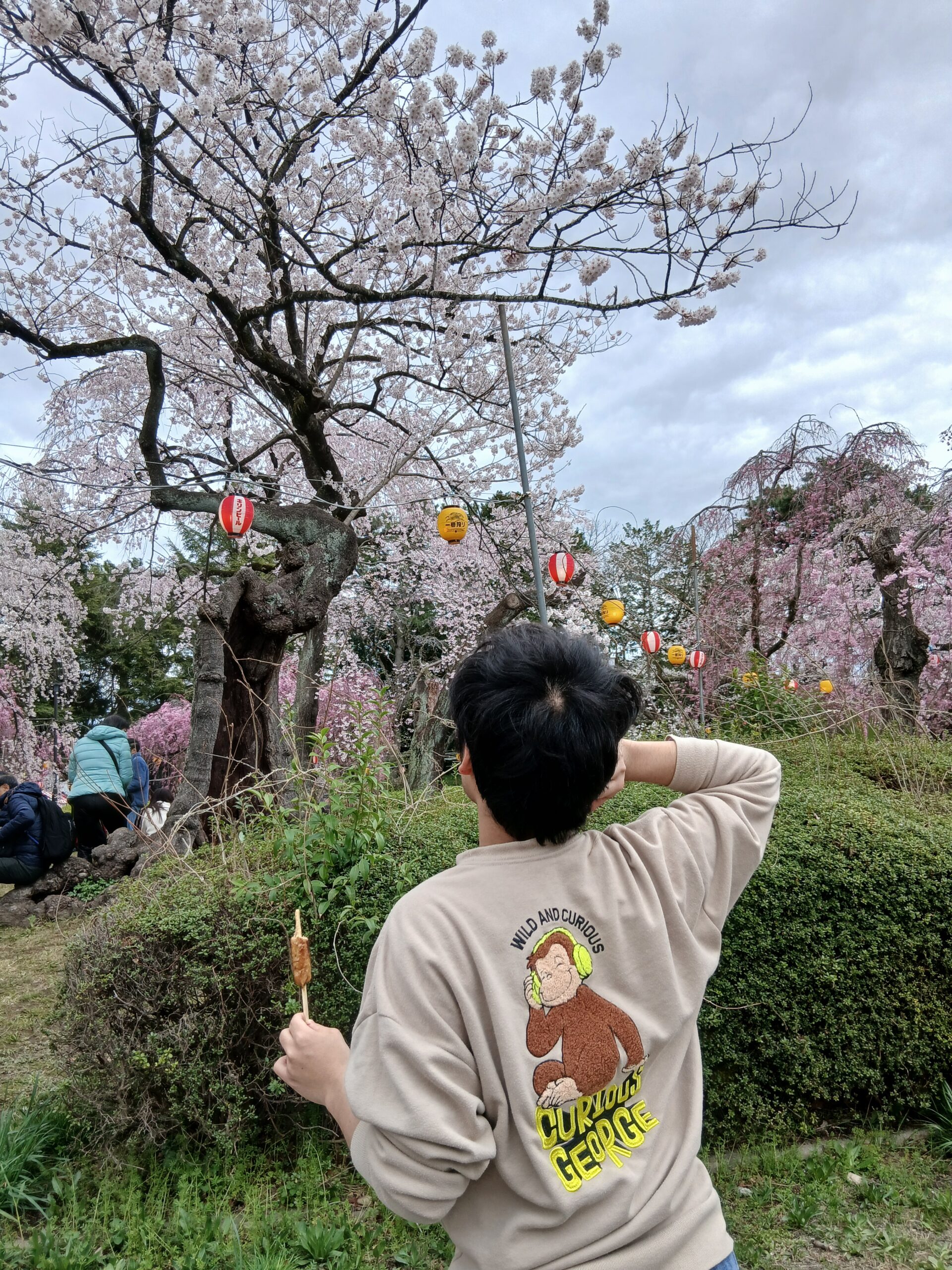 You are currently viewing 己達会esse お花見に行ってきました！